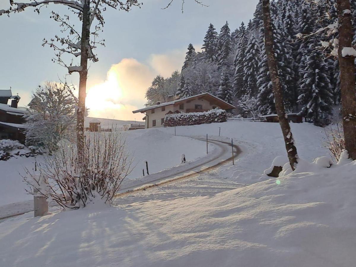 Ferienhaus Hansl Prama Экстерьер фото