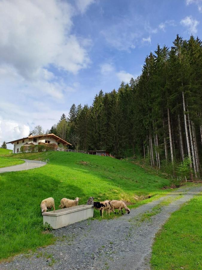Ferienhaus Hansl Prama Экстерьер фото