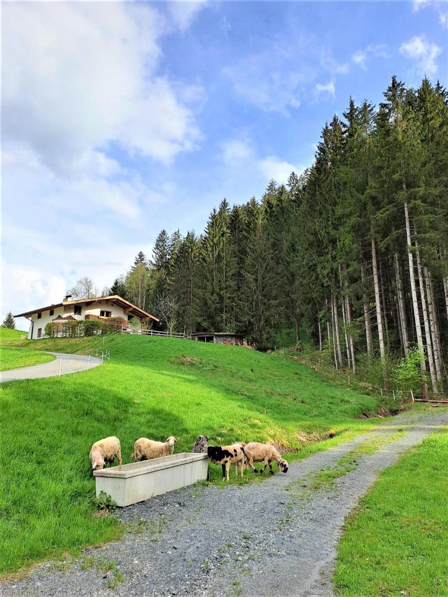 Ferienhaus Hansl Prama Экстерьер фото