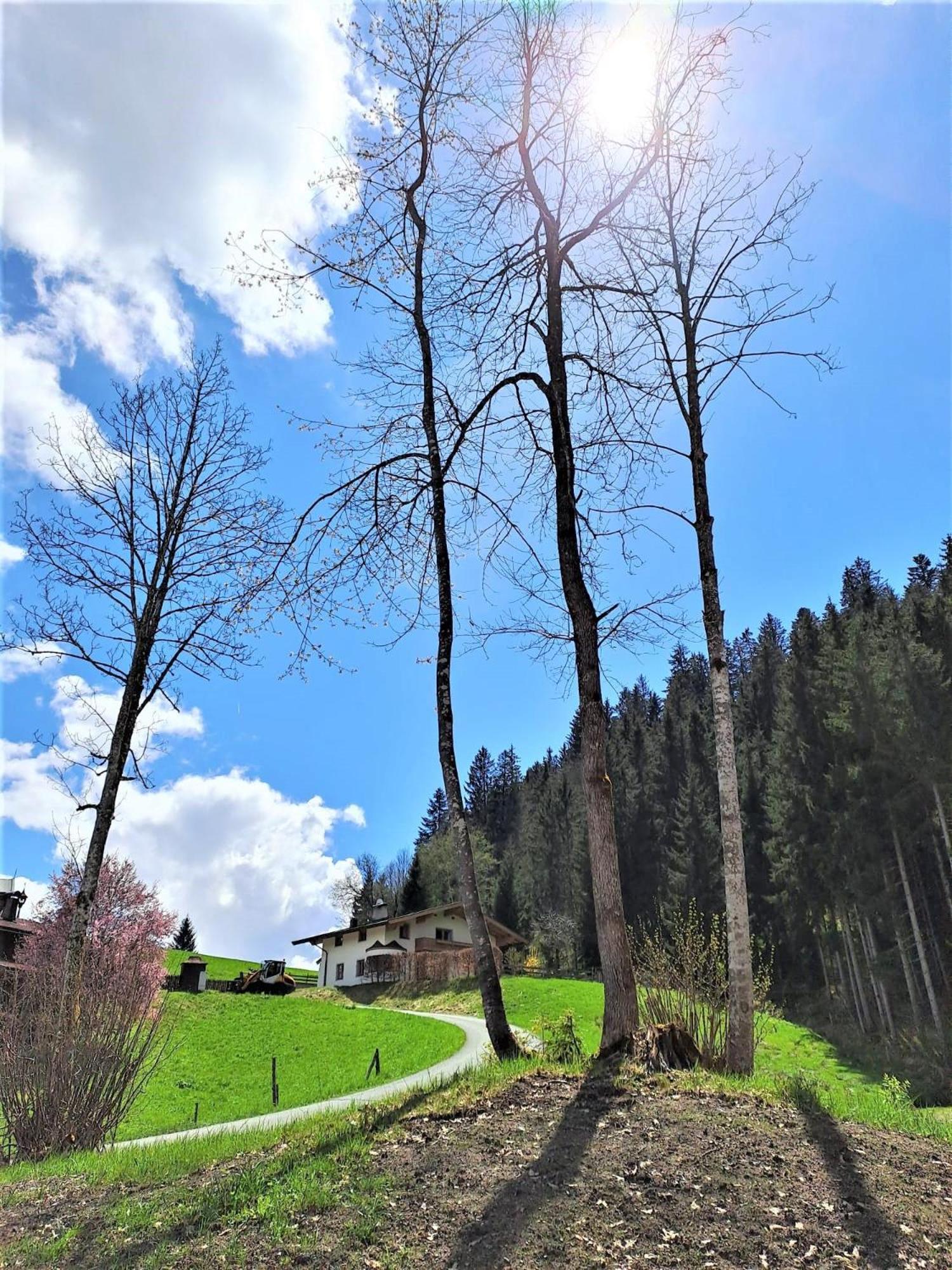 Ferienhaus Hansl Prama Экстерьер фото